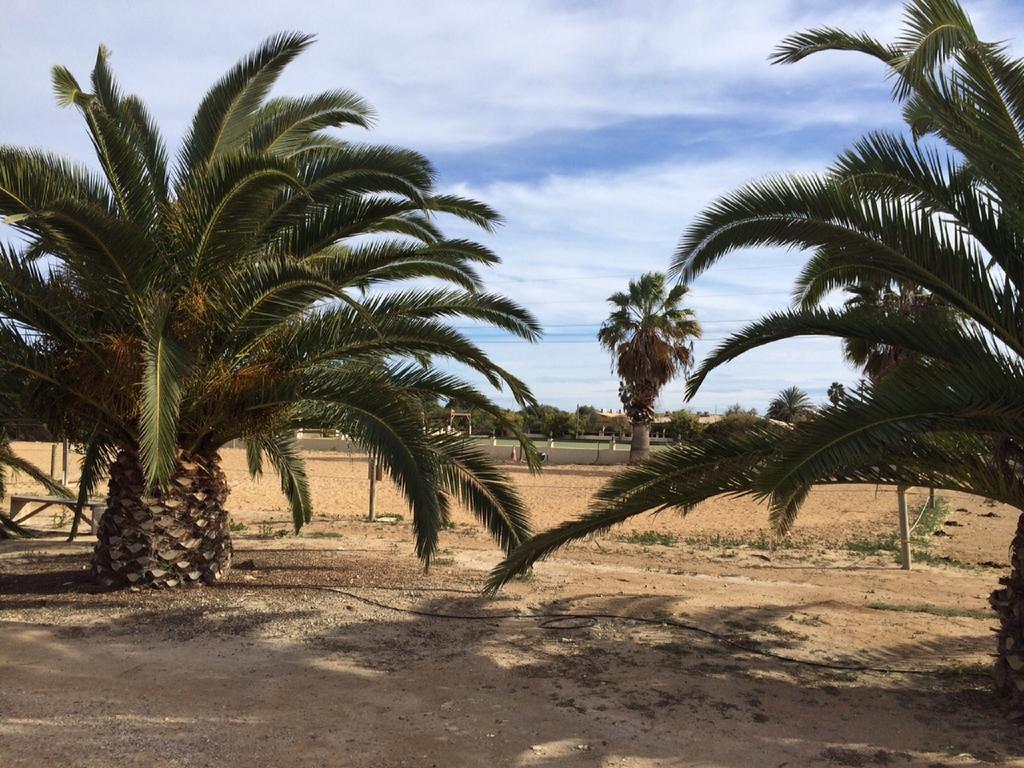El Rancho Los Montesinos - Torrevieja Rom bilde