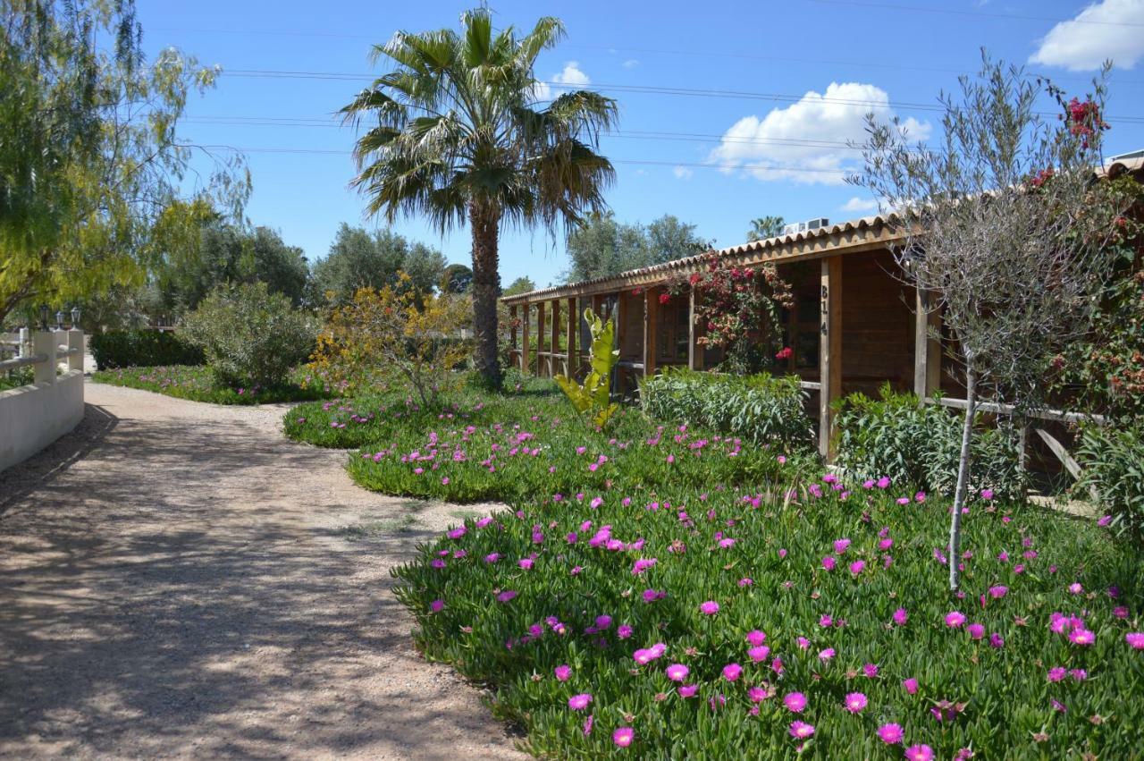 El Rancho Los Montesinos - Torrevieja Eksteriør bilde
